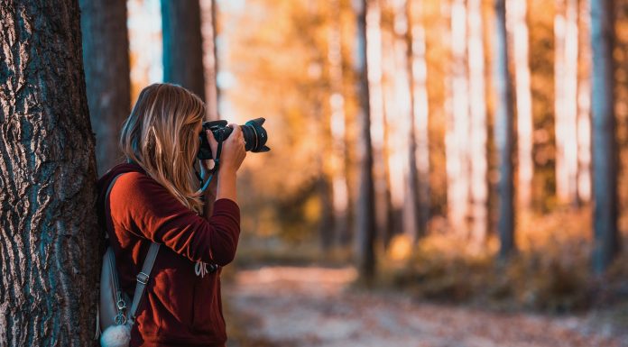 L’Intenzione, il nuovo corso di fotografia con Centro di Cultura Fotografica di Vicenza centro cultura fotografica vicenza