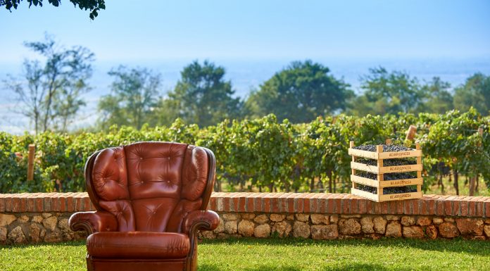 Cantine Aperte 2018: Cavazza Wine apre le porte della meravigliosa Tenuta Cicogna tenuta cicogna