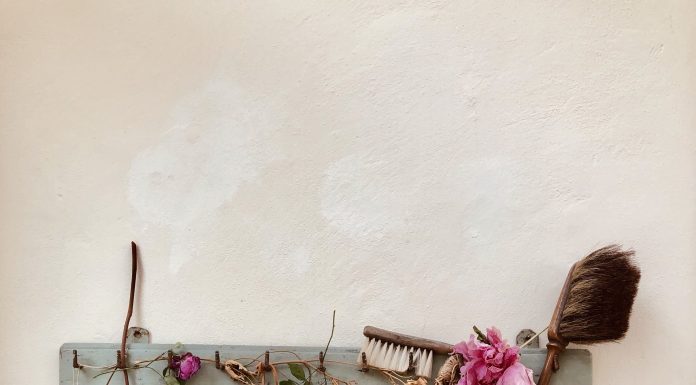 Fuga a Firenze: b&b Valdirose, dove il tempo si ferma e la bellezza si fa semplice b&b valdirose firenze