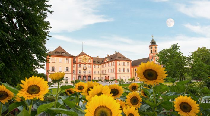 Estate in Baden-Württemberg, esperienze nel verde ma anche abbuffate di cultura Baden-Württemberg