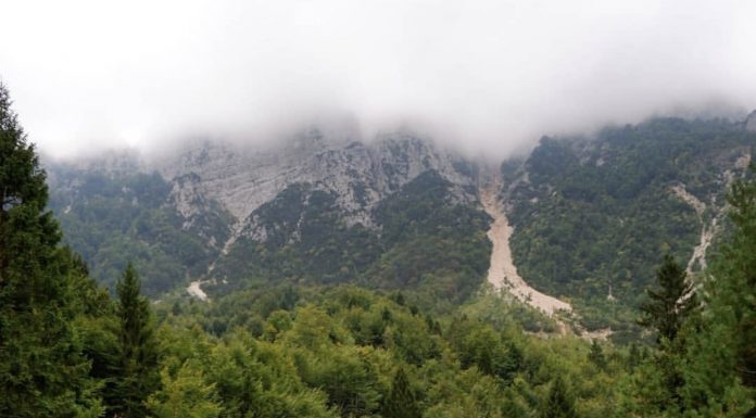 Il Sentiero dei Grandi Alberi: a Recoaro Mille (Vi) tra alberi secolari, laghi e baite sentiero dei grandi alberi