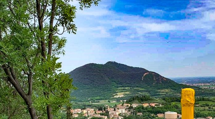 Lo Spritz Euganeo, quello con la giuggiola, diventa kit fai te spritz euganeo