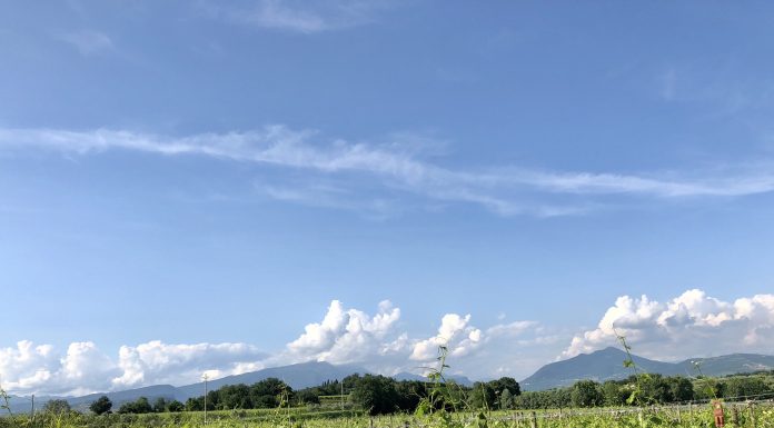 Cammino del Bardolino: 100 km tra vigneti, colline e sapori del Garda cammino del bardolino