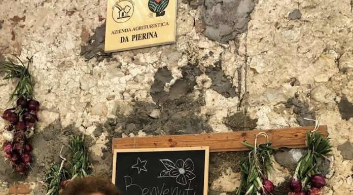 Agriturismo da Pierina, Arcugnano (VI): irrinunciabile istituzione tra i Colli Berici agriturismo da pierina