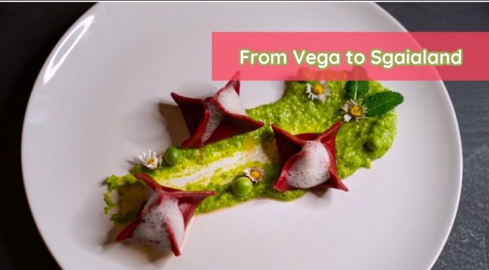 Fagottini vegani ripieni – From Vega to Sgaialand
