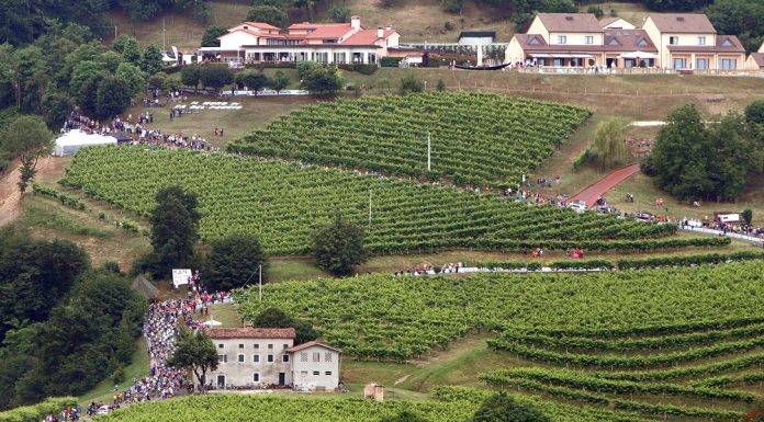 Il Muro di Ca’ del Poggio: la salita simbolo del Prosecco muro di ca'del poggio