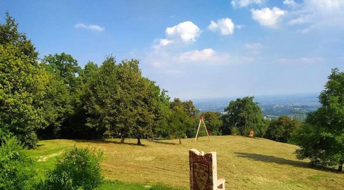 Parco del Sojo: l’unico parco privato di arte contemporanea in Veneto parco del sojo